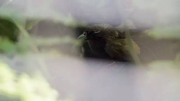 朋友圈发海边泳衣照好不好,朋友圈晒沙滩泳装