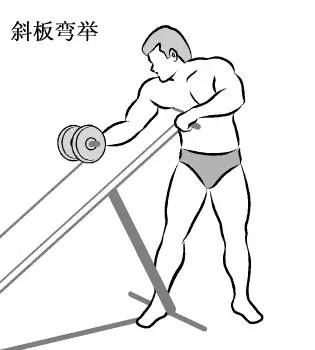 在家用哑铃锻炼背详细教学,瘦子在家哑铃锻炼全身肌肉