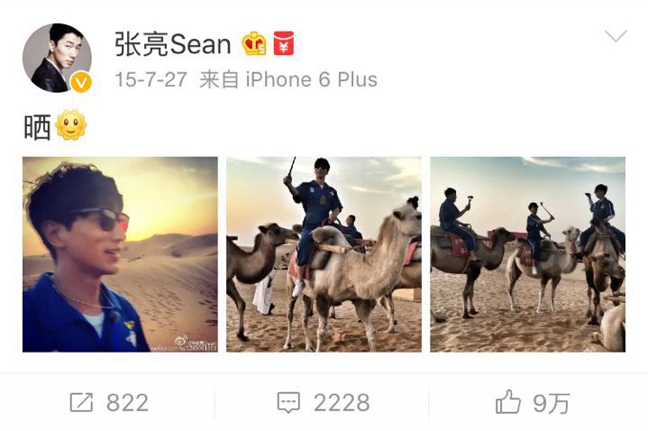 围观大波儿明星扎堆来宁夏,他们都爱晒点啥?