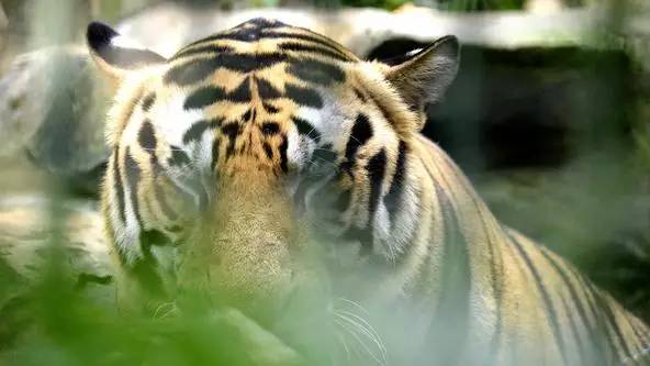 朋友圈发海边泳衣照好不好,朋友圈晒沙滩泳装