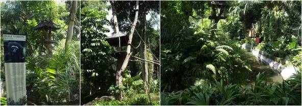 朋友圈发海边泳衣照好不好,朋友圈晒沙滩泳装