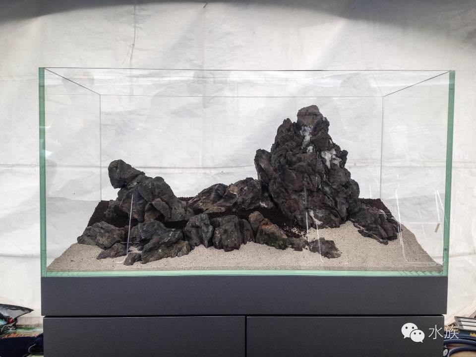 ada开缸第二天,ada开缸