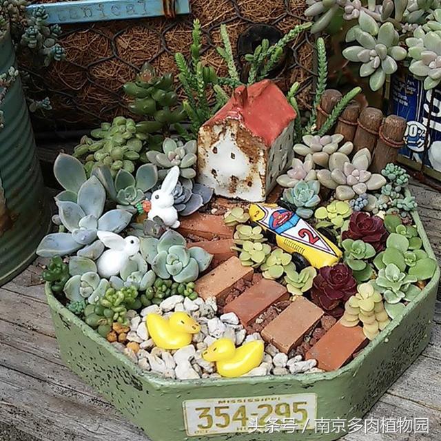 乐高积木成人款植物多肉,小玩具乐高