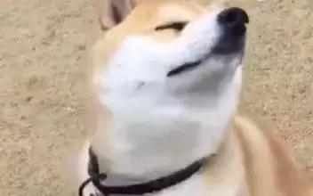 韩妆化妆品有哪些,韩妆护肤品没什么效果