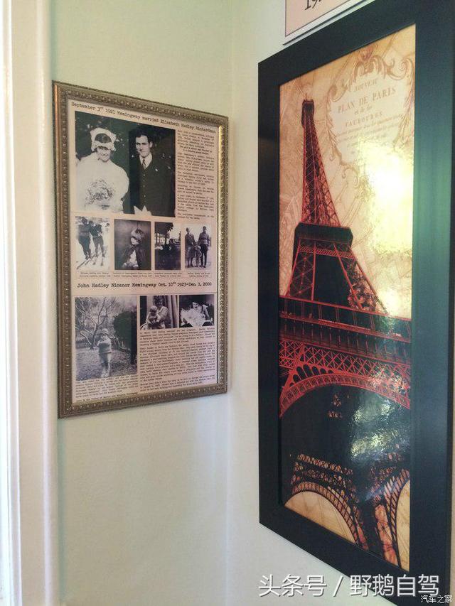 野鹅旅行,野鹅自驾无人区