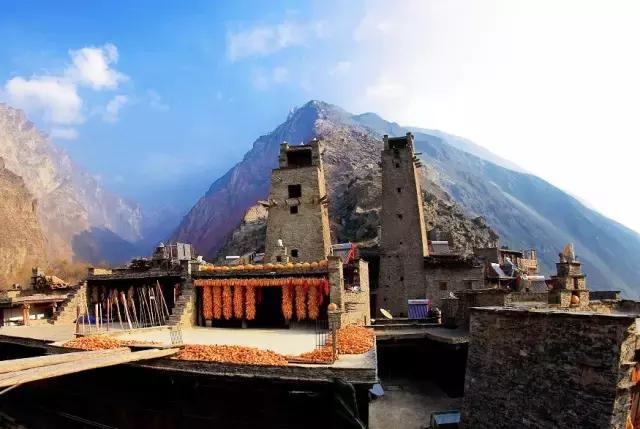 奇葩牧场|不养牛不养羊,居然养这个?