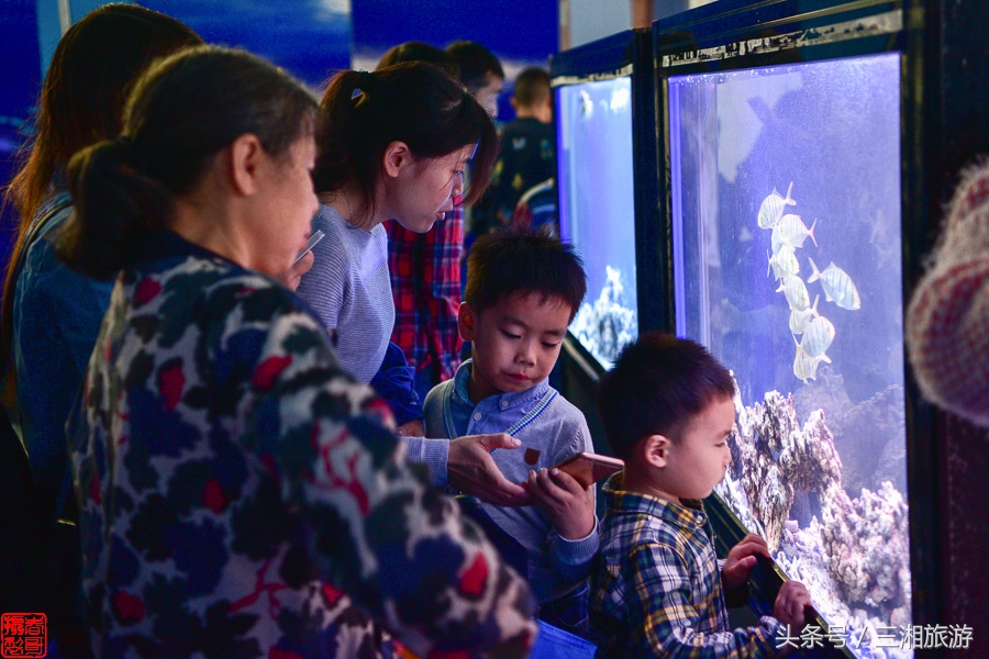 株洲漂流门票,株洲周边免门票游玩