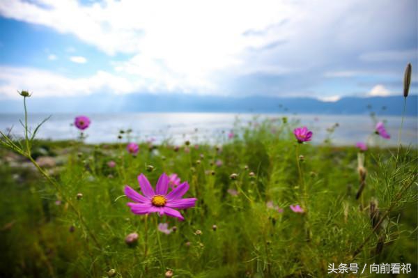 开奔驰威霆旅行的感受,单门七座威霆试驾评测