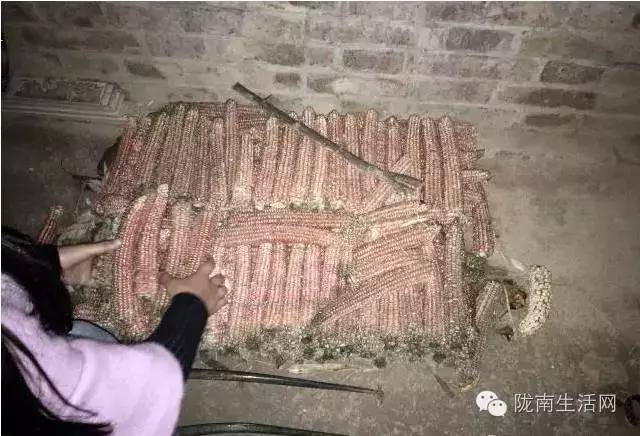 甘肃炕怎么烧,西北农村土炕的最新做法