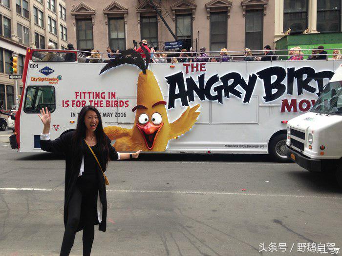 野鹅旅行,野鹅自驾无人区