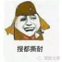 豚鼠各类饲养装备优缺点汇总之上篇