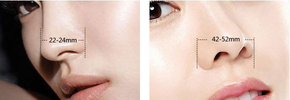 大鼻子不好看咋办,大鼻子好看还是小鼻子好看