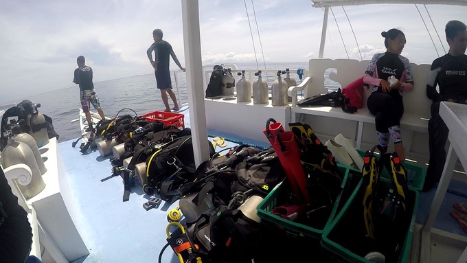 菲律宾潜水攻略 (菲律宾潜水游记)