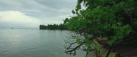 大疆VSGoPro，友谊的小船说翻就翻（全面解析）