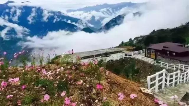 奇葩牧场|不养牛不养羊,居然养这个?