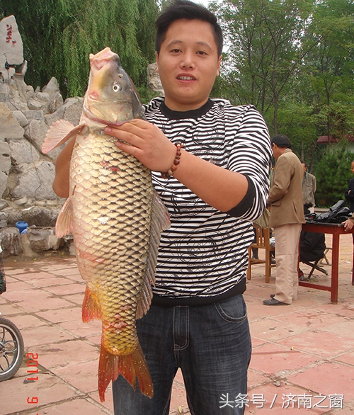 济南美里湖湿地,飞越济南