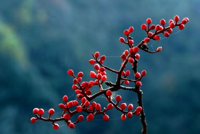 大别山中大金寨，这23个乡镇貌美如花，十一你不来？