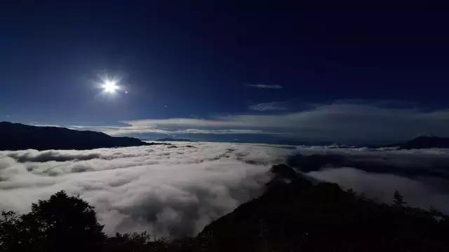 奇葩牧场|不养牛不养羊，居然养这个？