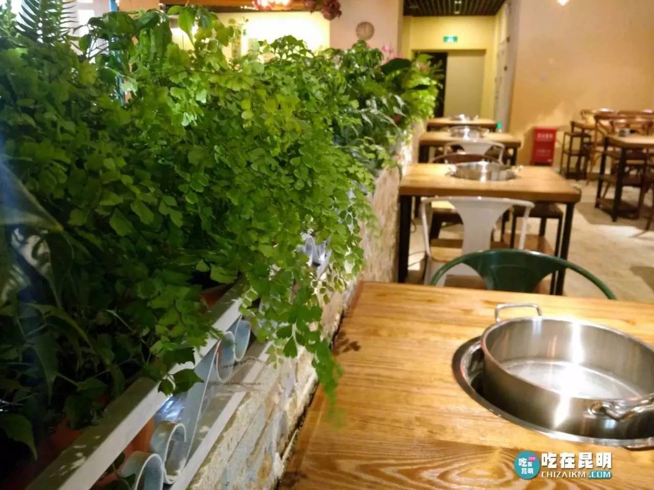 正宗的耗儿鱼火锅,成都排名第一耗儿鱼火锅