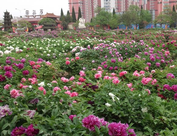 山东旅游景点大全自驾游,山东旅游景点推荐线路一览表