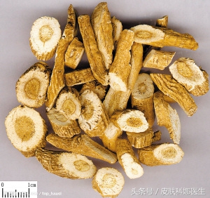 被当做染料用的植物的根部，竟是禽流感期间最有效的抗病毒中药！