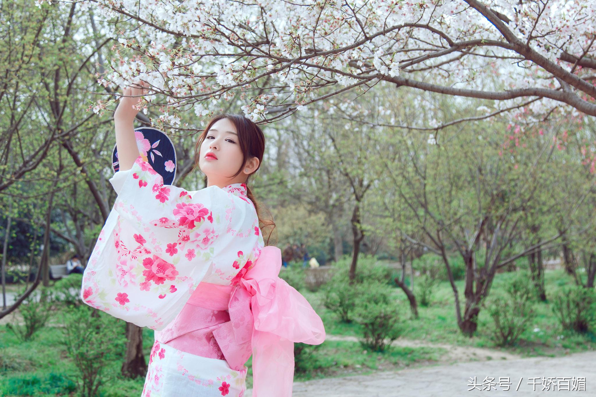 和服樱花日本,日本樱花美景和服
