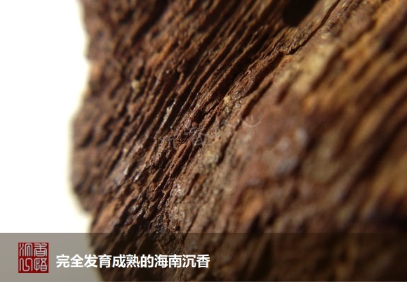 海南沉香最好是啥沉香,海南沉香知识