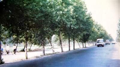 这条路承载着多少人的记忆,这条路见证了我的喜怒哀乐