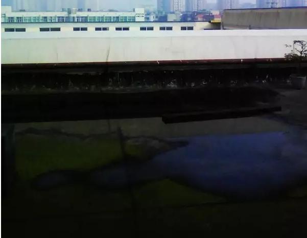 成都最土豪的学校,成都最贵私立学校最密集的区