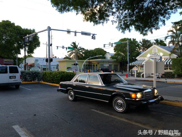 野鹅旅行,野鹅自驾无人区