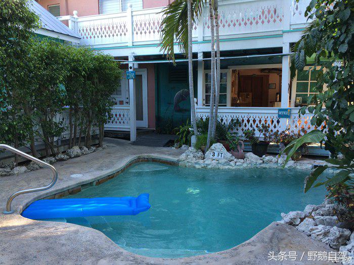 野鹅旅行,野鹅自驾无人区