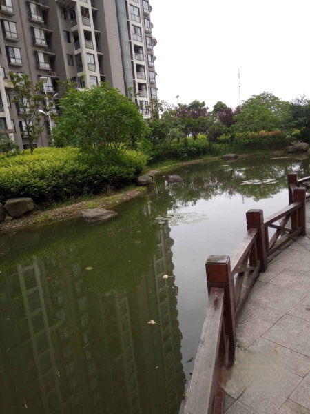 长沙开福区湘江世纪城在哪里,开福区湘江世纪城临江苑