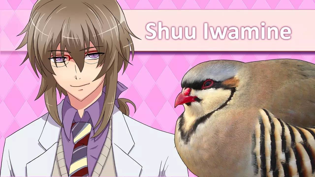 夭寿啦,夭寿啦小说