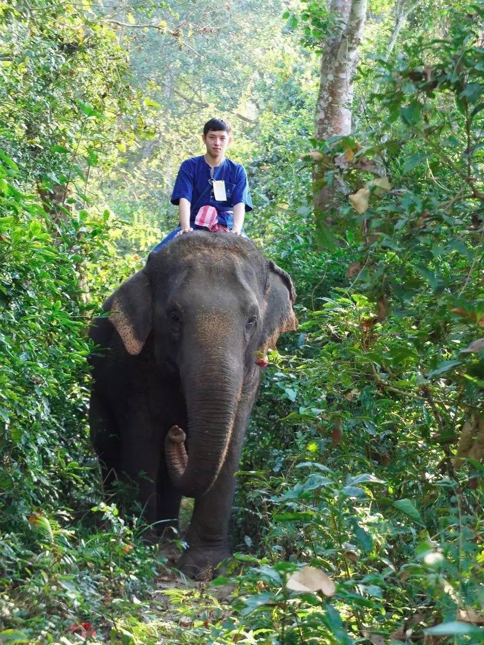 拒绝杂乱,拒绝繁杂收纳