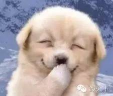 辽宁洗温泉哪个地方好还便宜,辽宁温泉旅游攻略自驾游两日