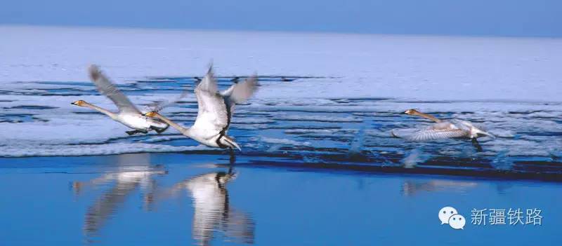 南北大穿越骑行,南北大穿越专题