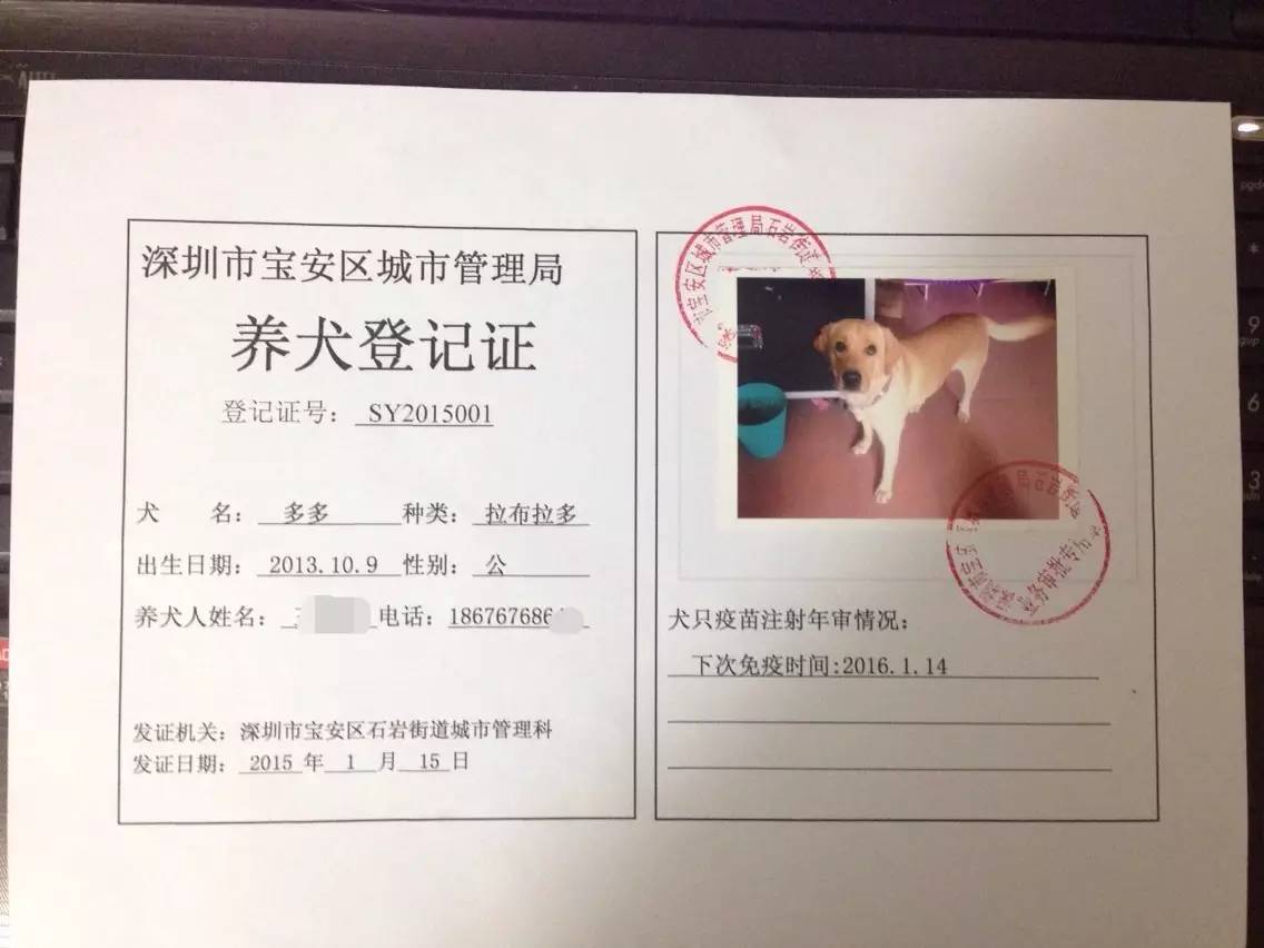 狗如果有狂犬病打疫苗有效吗,狗打针能预防狂犬病吗