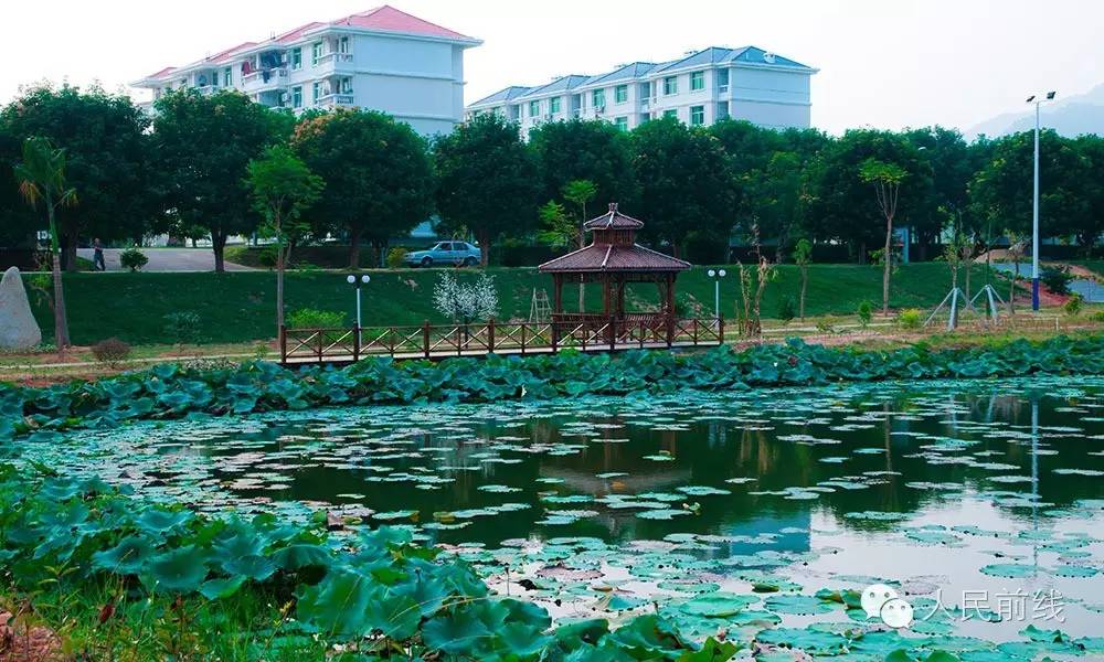 菇凉，这里为你敞开幸福公寓，要不要嫁进来？