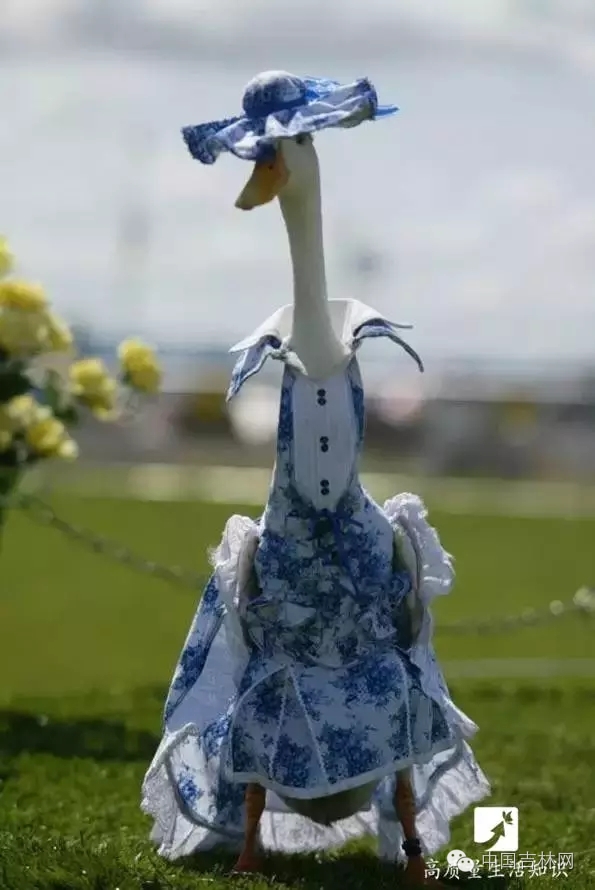 长春热企提前开栓供热,长春热企最新动态