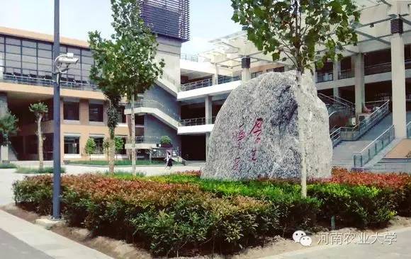 特别策划三分钟过后，农大小石榴马上开挂成老鸟！