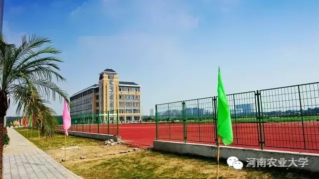 特别策划三分钟过后，农大小石榴马上开挂成老鸟！