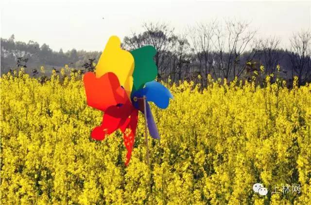 广西榜样,广西优秀的学习榜样