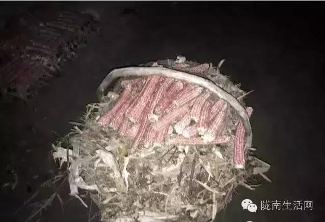 甘肃炕怎么烧,西北农村土炕的最新做法