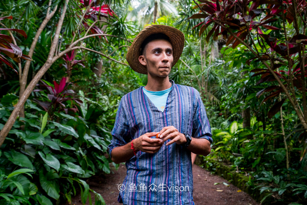 金银岛是真实存在的吗,金银岛神秘之谜