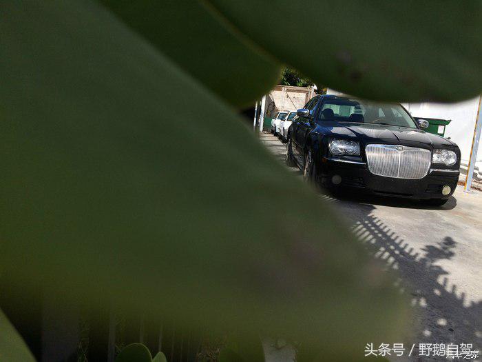 野鹅旅行,野鹅自驾无人区