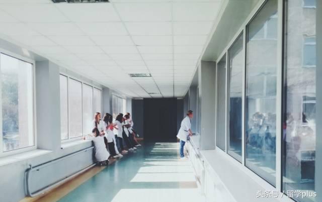 留学澳洲需要办什么手续,澳洲留学哪些疾病不能去