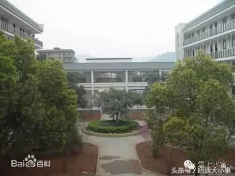 云南省水富市云天化中学,水富市云天化中学简介