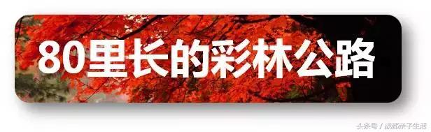 秋看落叶，夏玩水！成都边边观红叶圣地推介