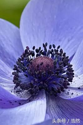 敏感性皮肤怎么治疗,敏感性皮肤用什么护肤品好