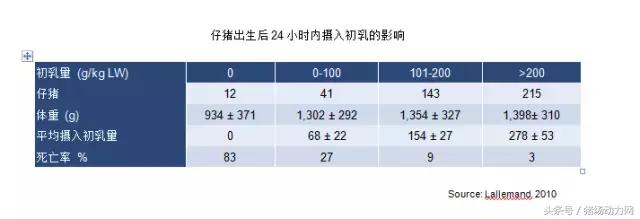 仔猪产多了咋办,第一窝仔猪为什么产的少